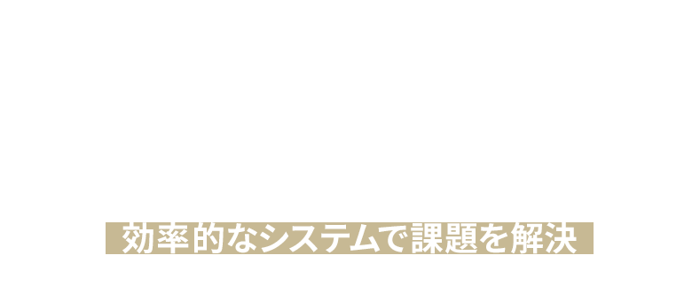 効率的なシステムを構築します